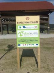 Ekomuzej hmeljarstva in pivovarstva 3